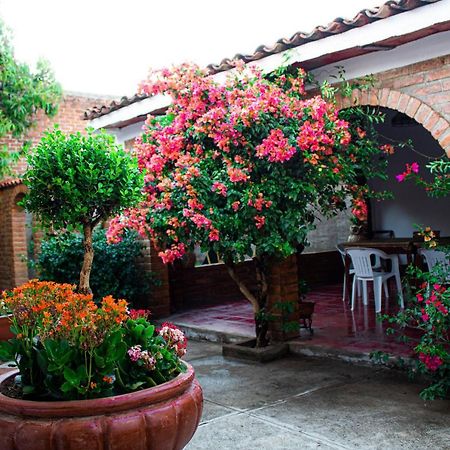 Villa Flores, Casa En El Centro De מסקוטה מראה חיצוני תמונה